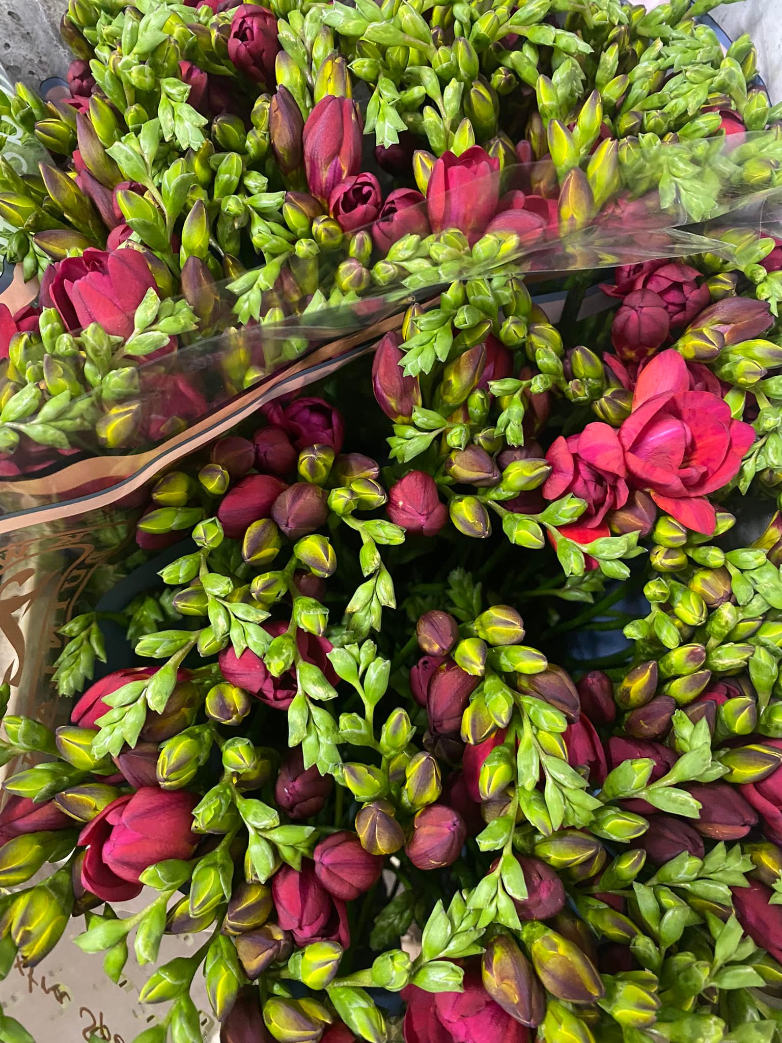Flora Express