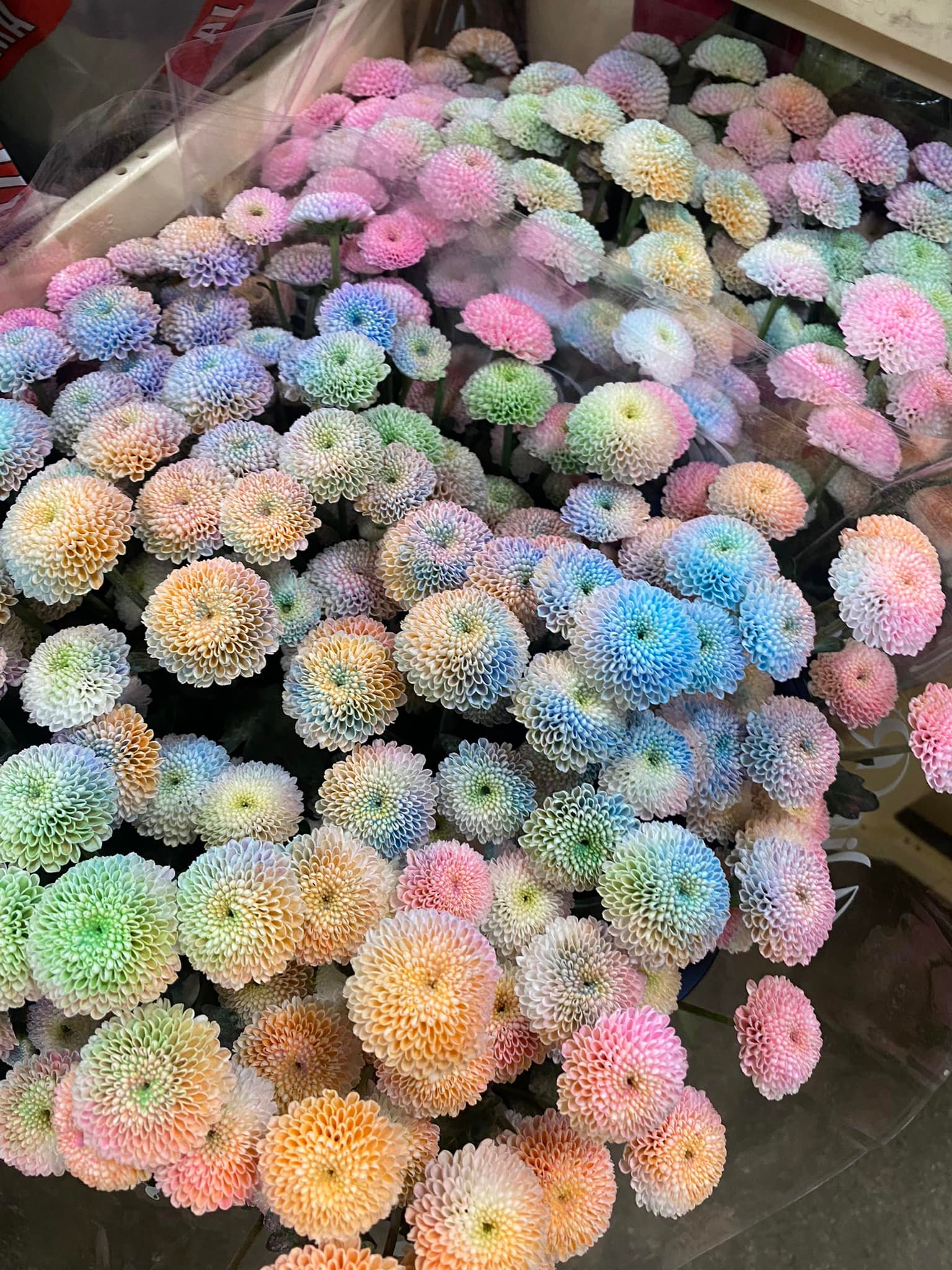 Flora Express