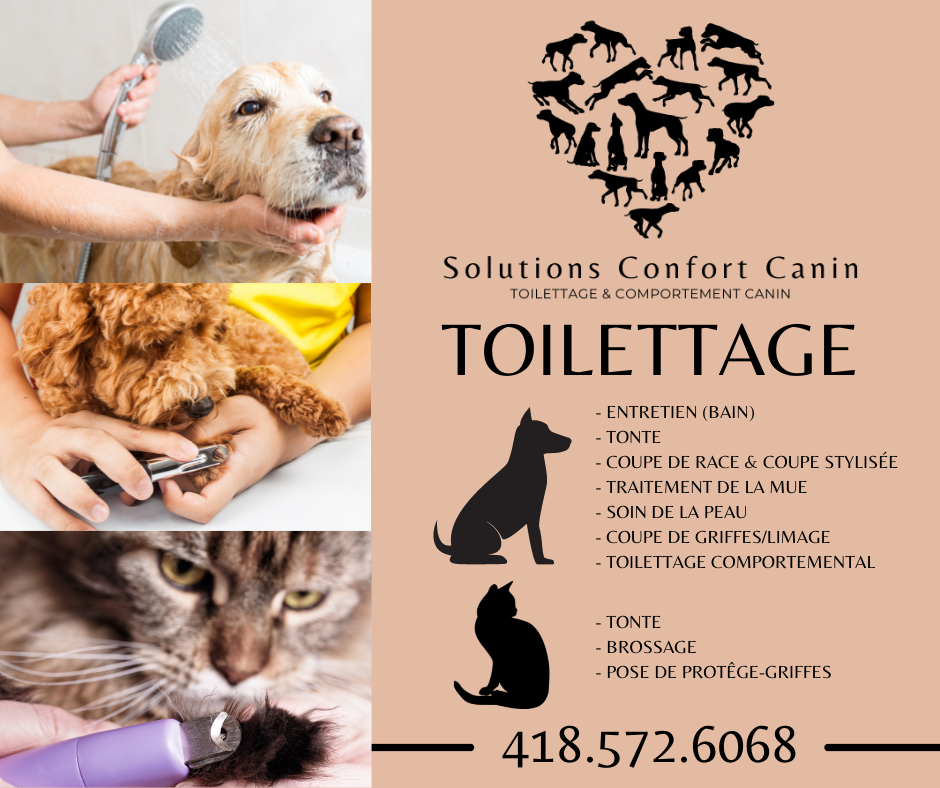 Solutions Confort Canin Home Facebook