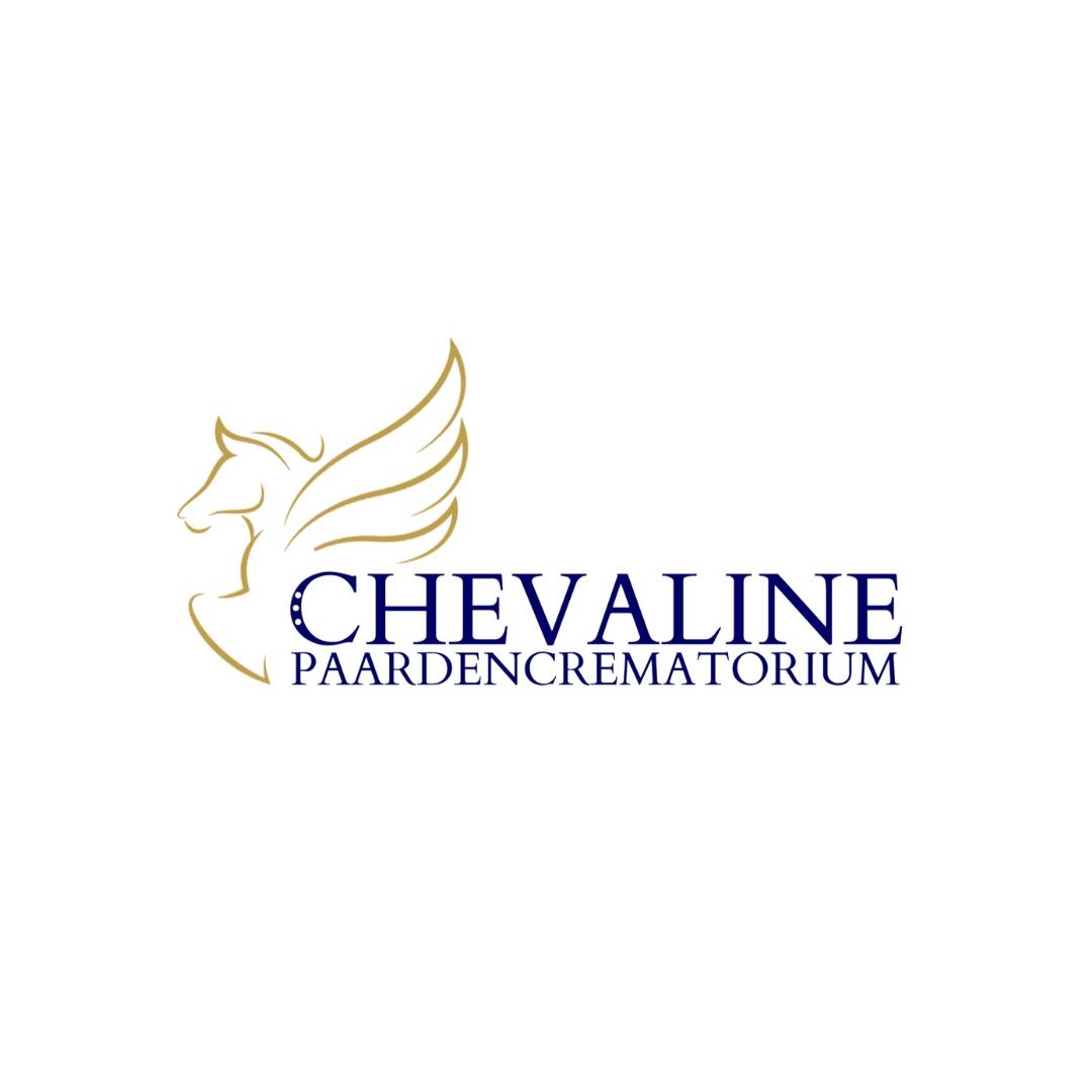 Un adieu digne pour votre cheval 🤍 | Chevaline | Facebook