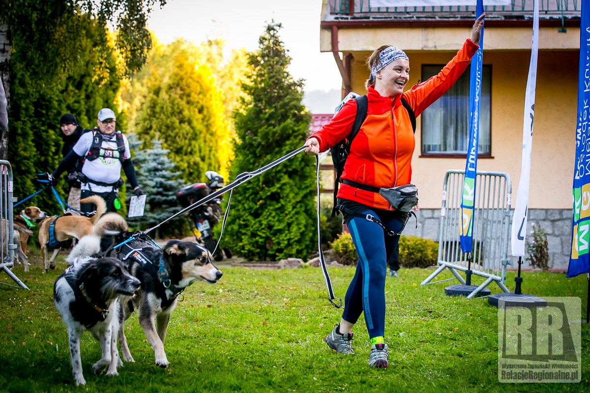 Lendog - Galeria zdjęć Lendog 2019 | Facebook