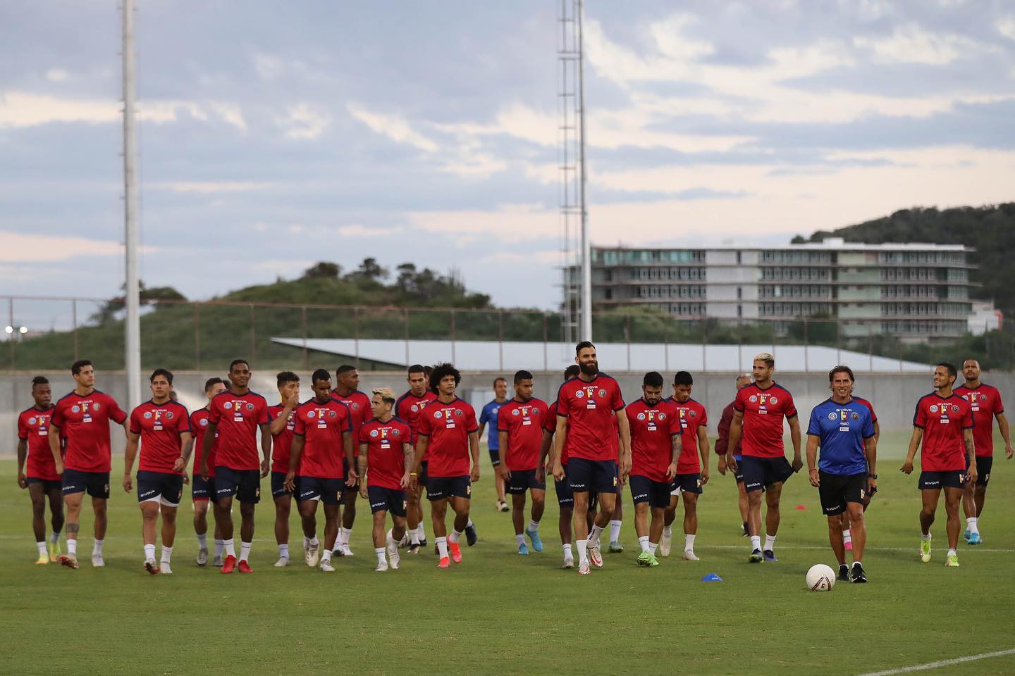 SeleVinotinto