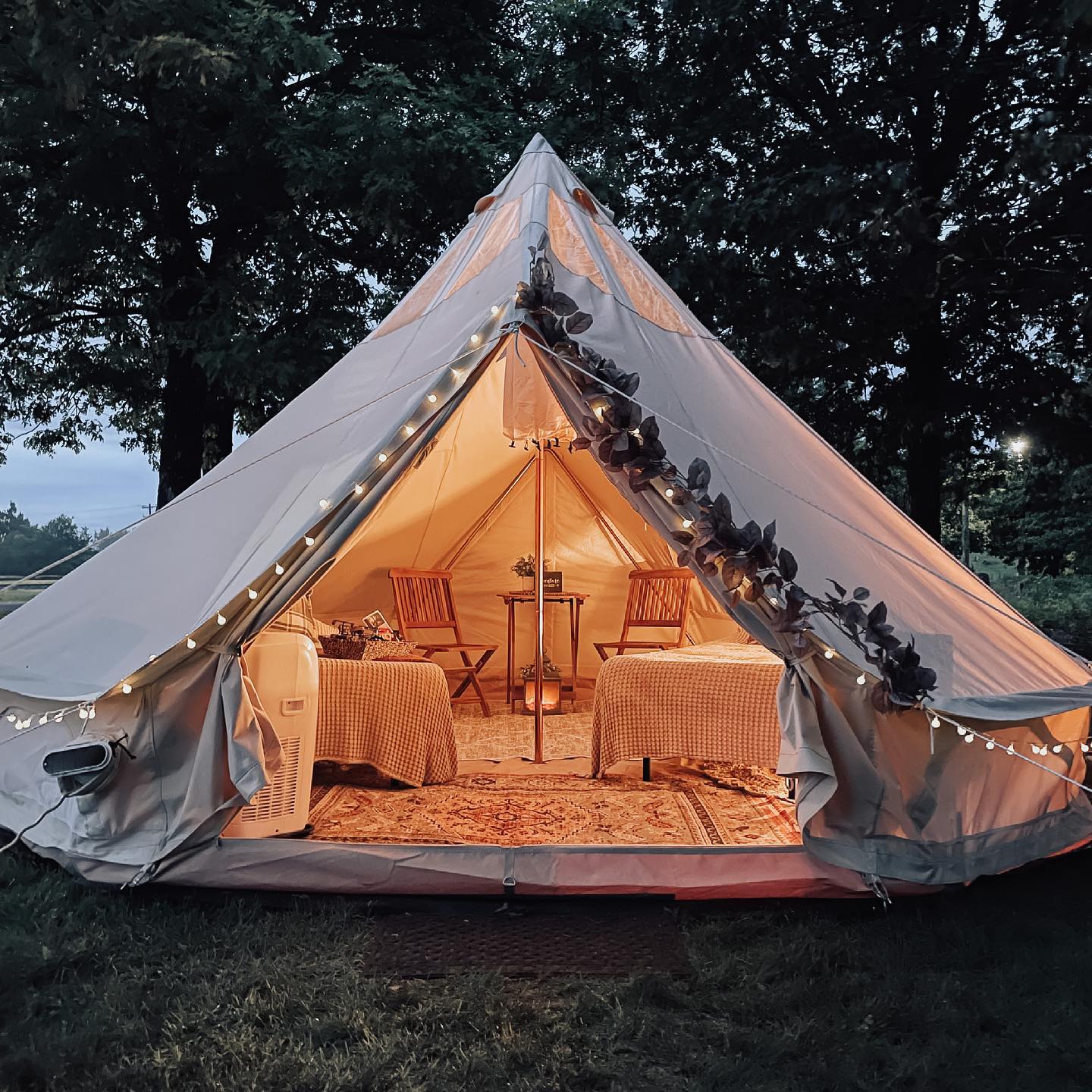 army shop zelt Mil-Tec Tent US SMALL WALL 2 70x2 70 M Olive Sport & Freizeit age:3m 71-teiliges Seilspanner Set Aus Size:59in x 35ft