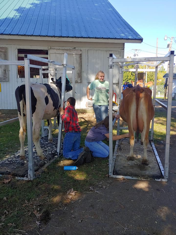 Easterday Dairy Farm | Camden MI