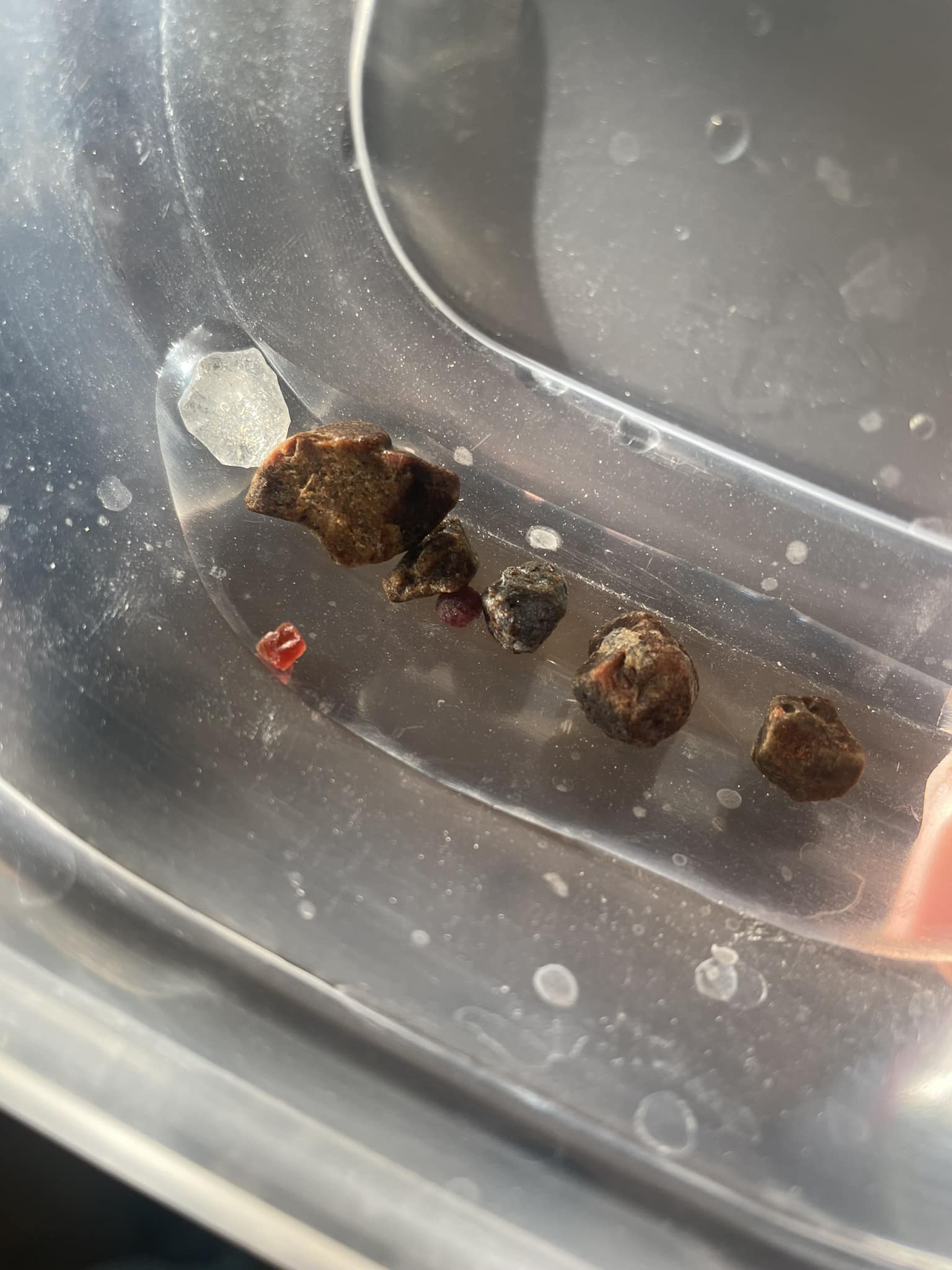 Red stone found in Pilar, NM area