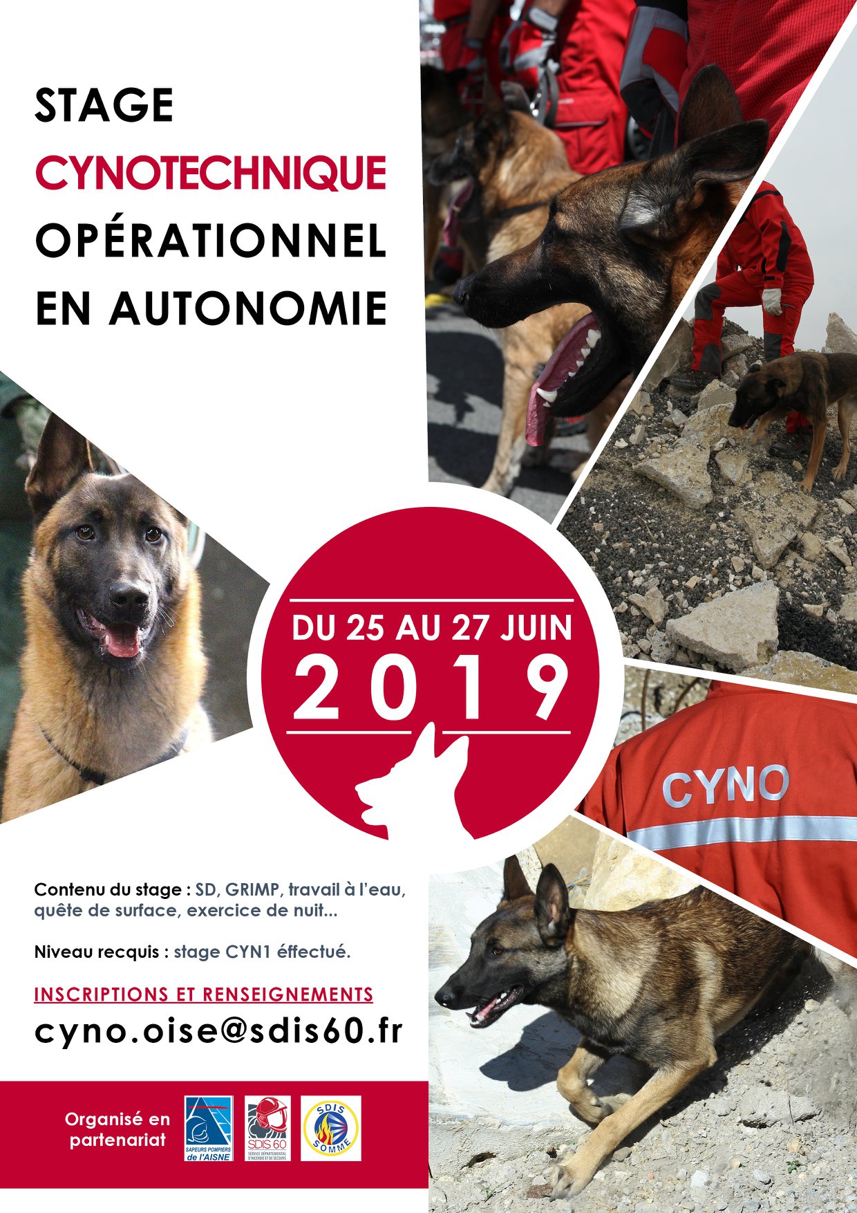 Un nouveau stage cynotechnique dans l'Oise et l'Aisne Du 25 au 27 juin ...