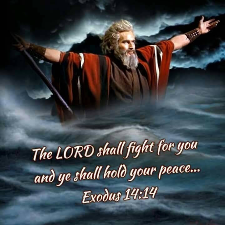 High town bus | Kofi Bekoe