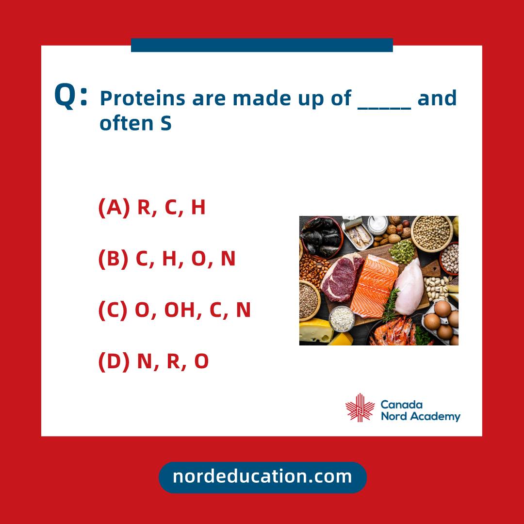 ⚗️ Proteins are long chains of amino... - Canada Nord Academy
