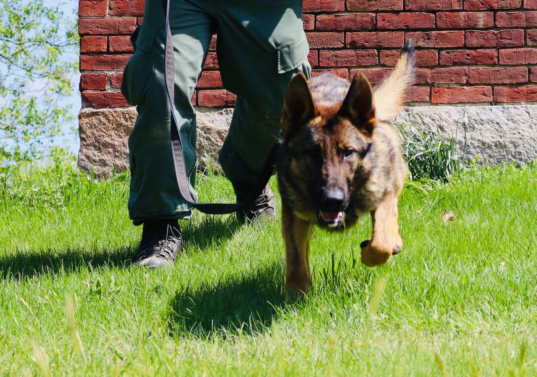 All - On June 29th, Lt. David Rackliffe and K9 Rebel responded to ...