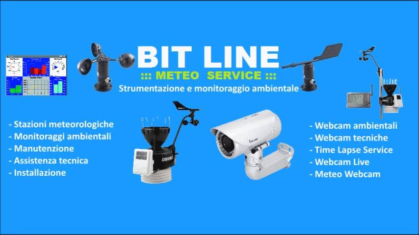 Bit Line