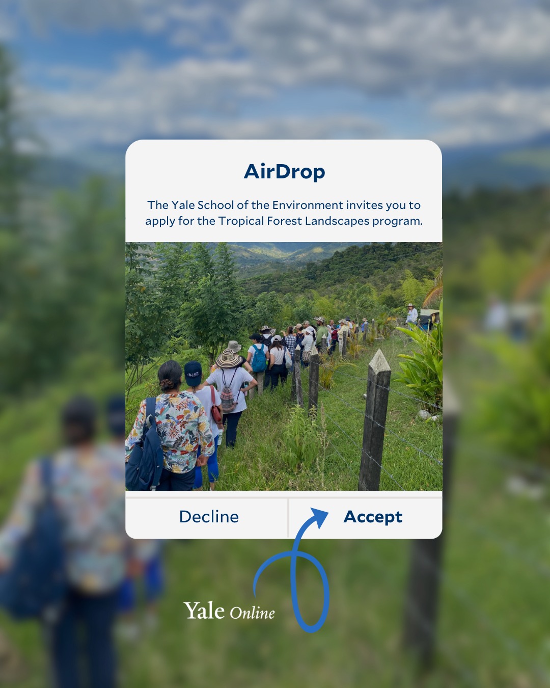 Yale Online - Did you know that deforestation and...