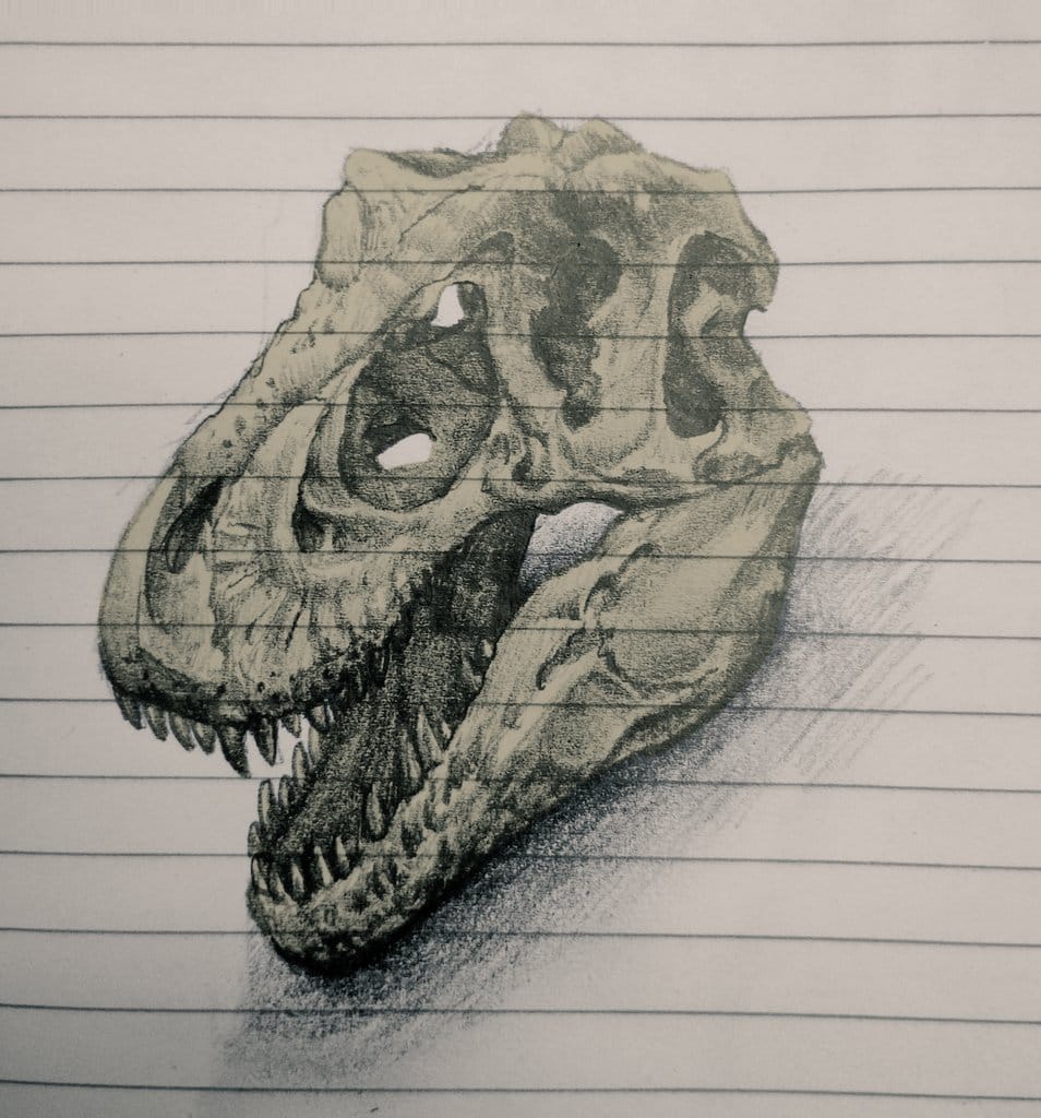 JosephSuchus