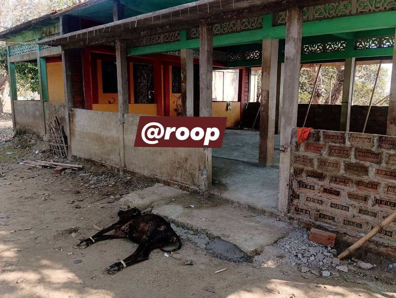 Mr. Roop | Karimganj