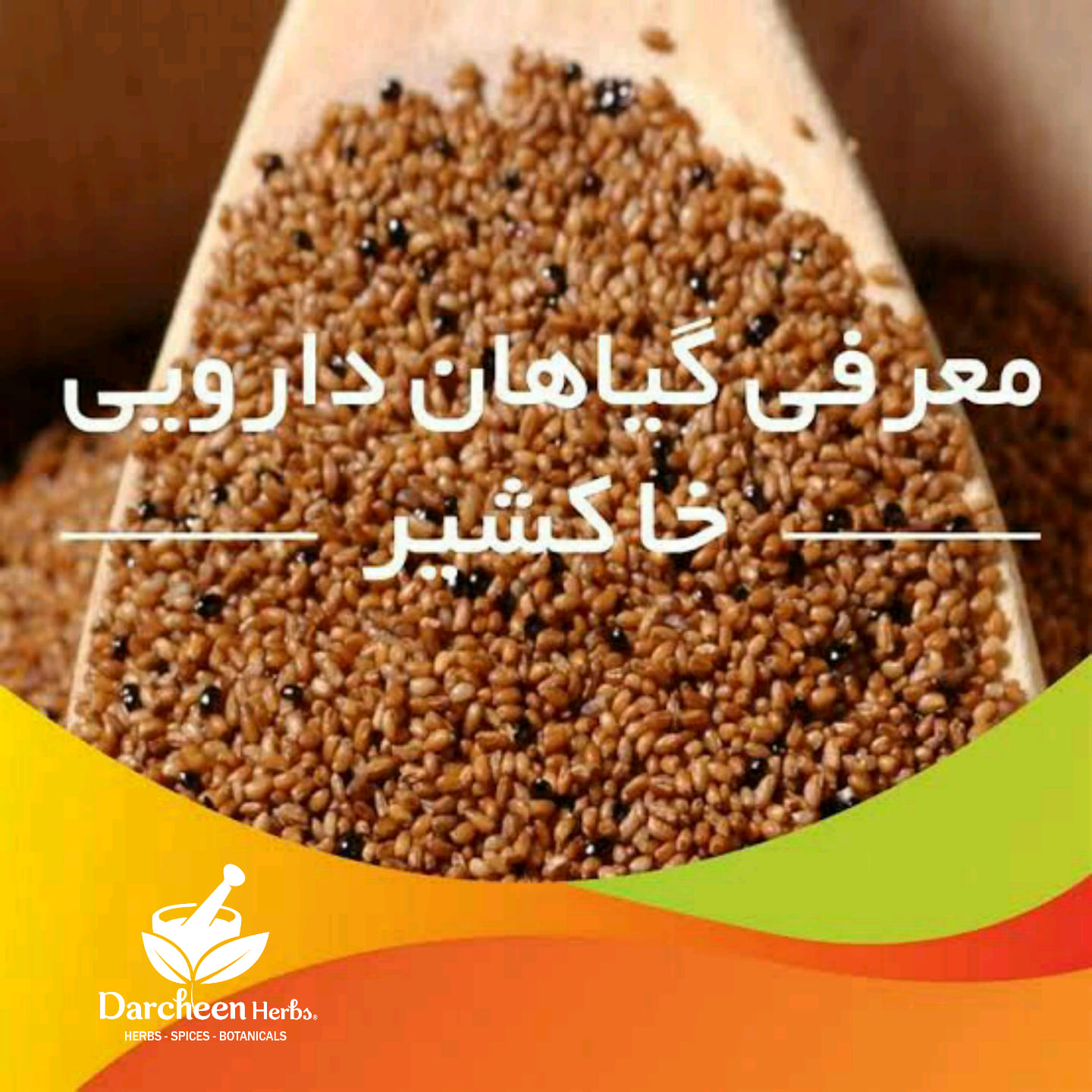 Darcheen Herbs | Kabul