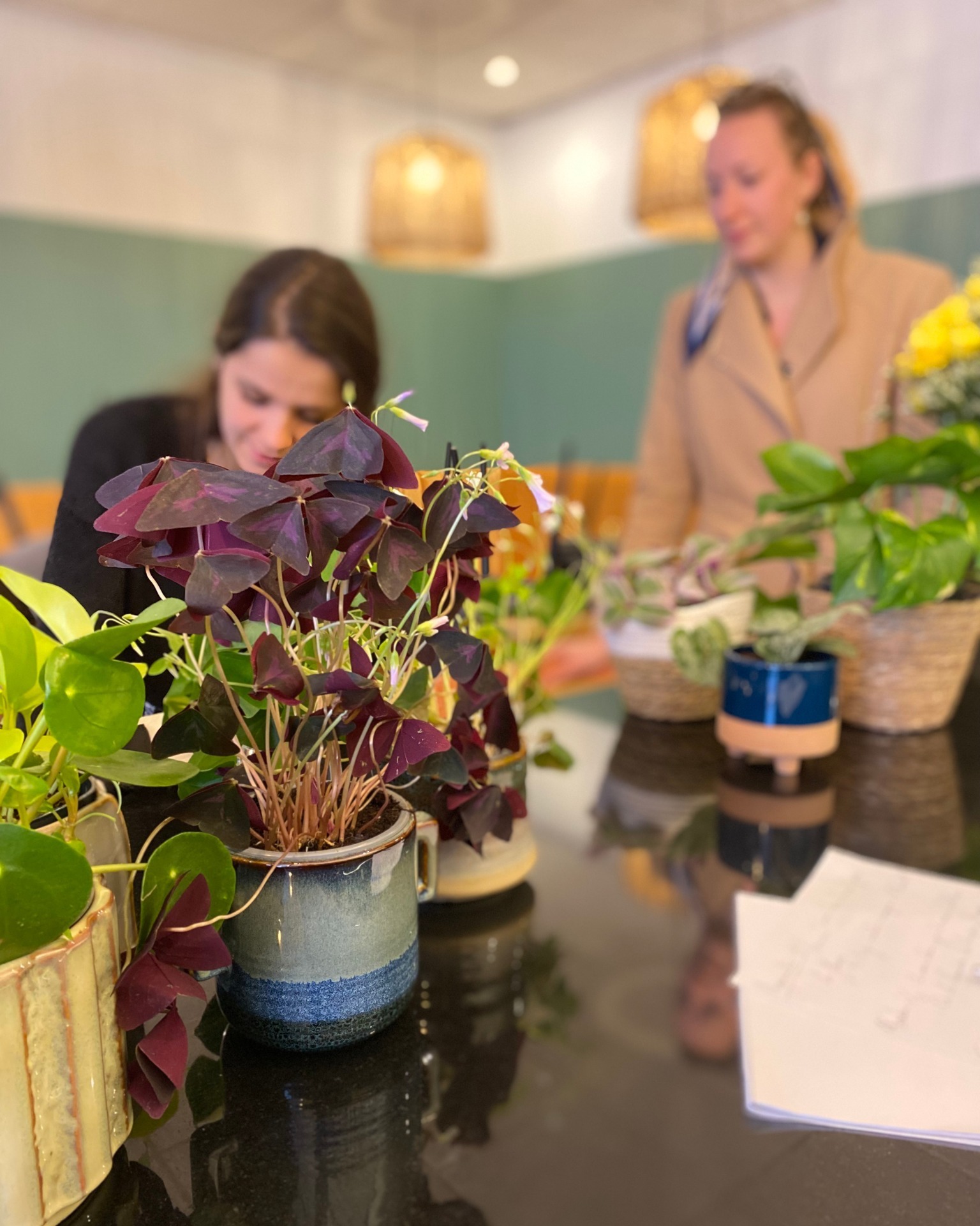 Touósto - Arrivage de belles plantes 🪴et bonne nouvelle 😬...