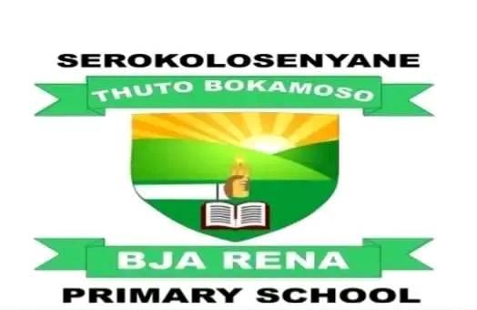 Serokolosenyane Primary School | Polokwane