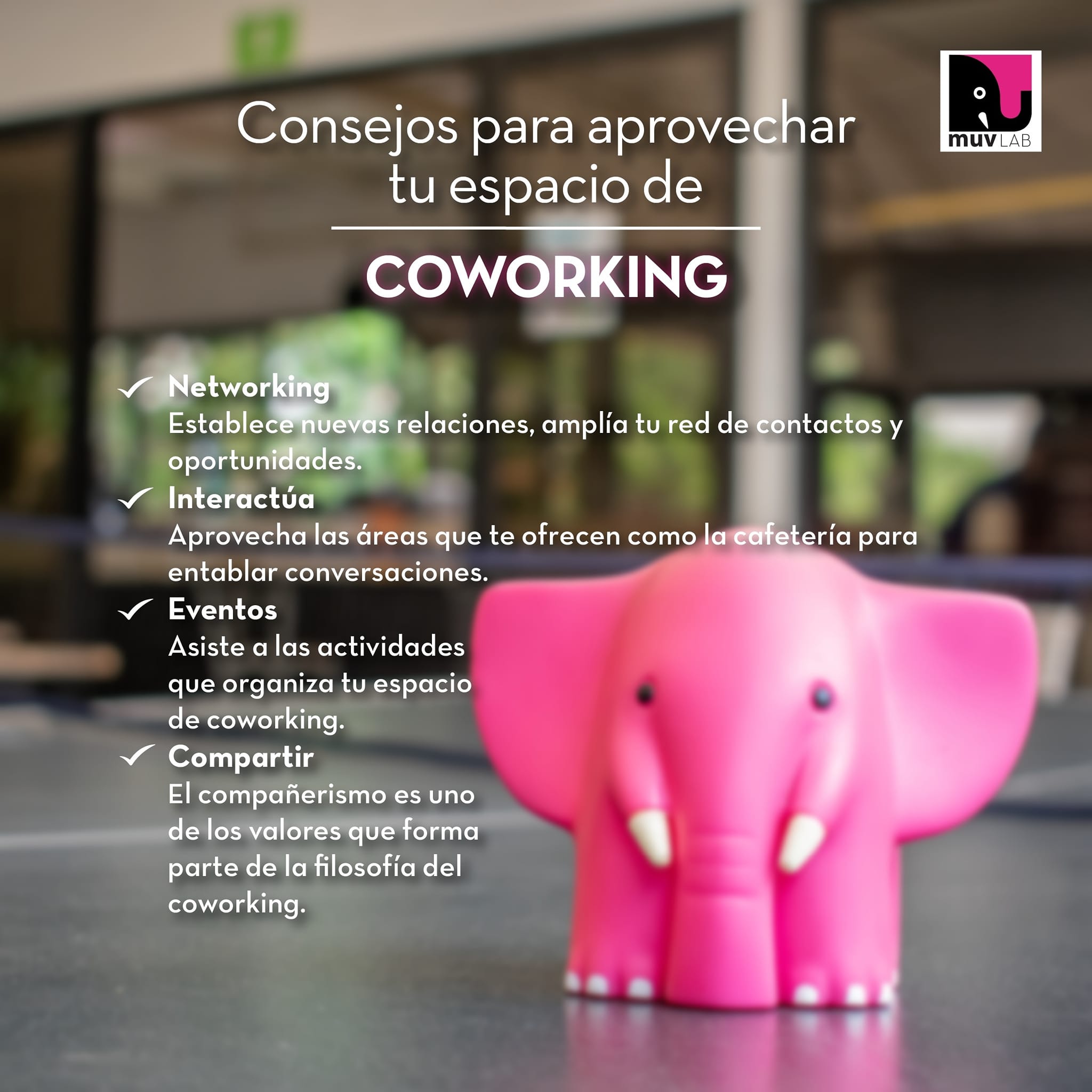 Muv Lab - En #MuvLab estamos orgullosos de nuestro espacio... | Facebook