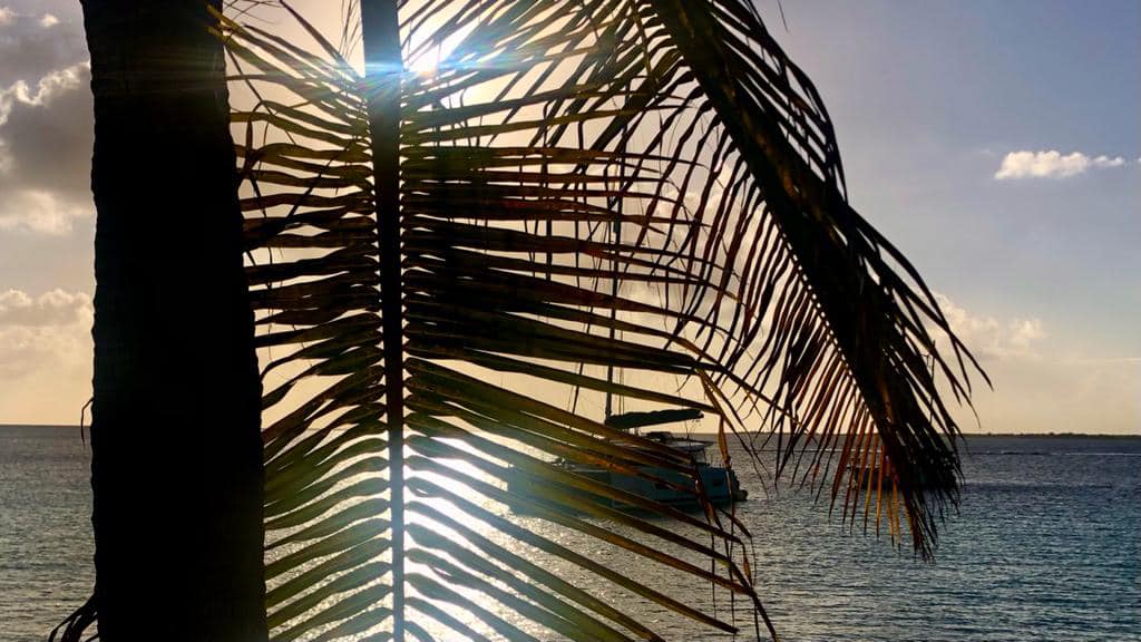 Playa Lechi Bonaire