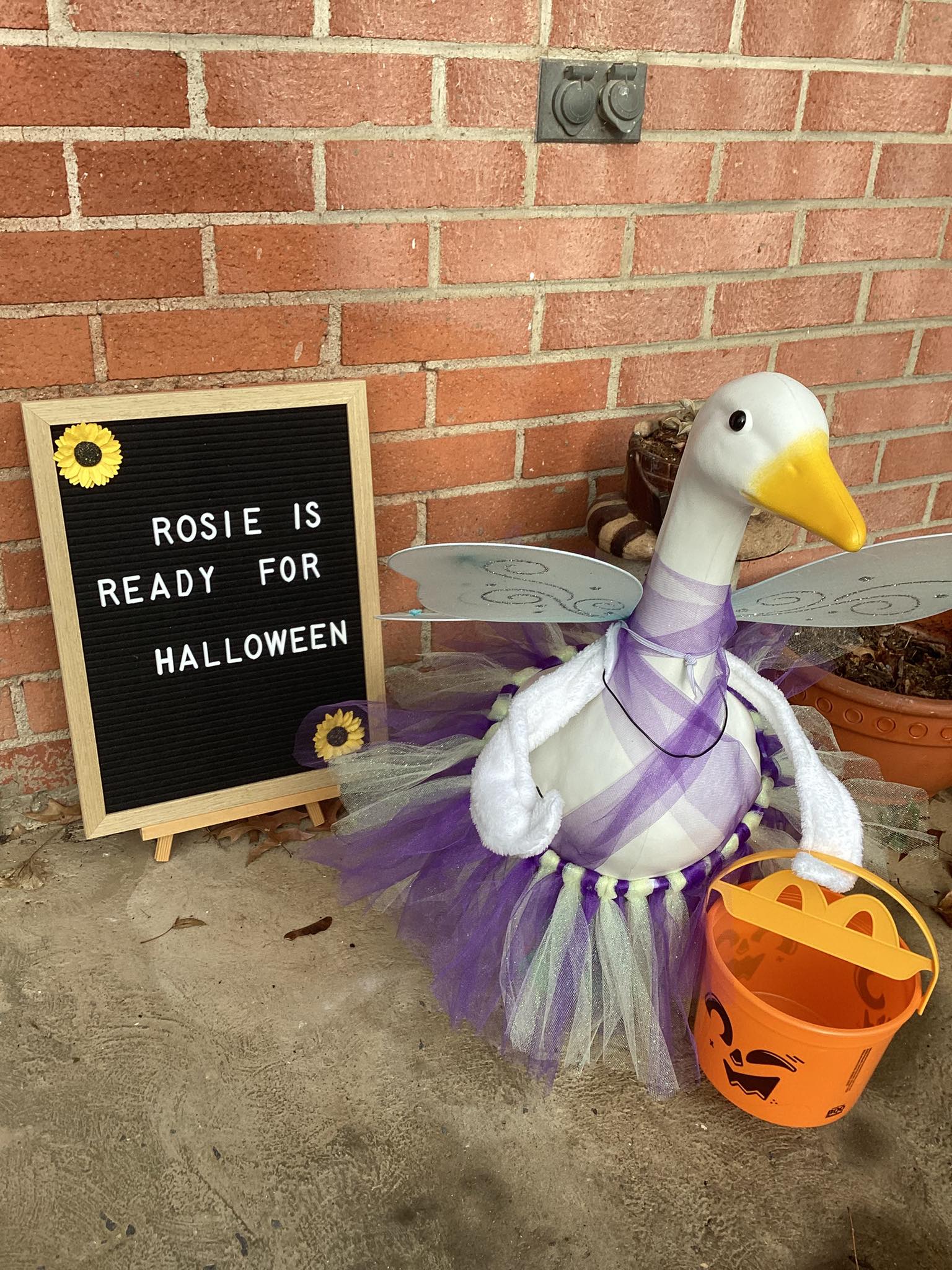 The Porch Goose Club of America | Facebook