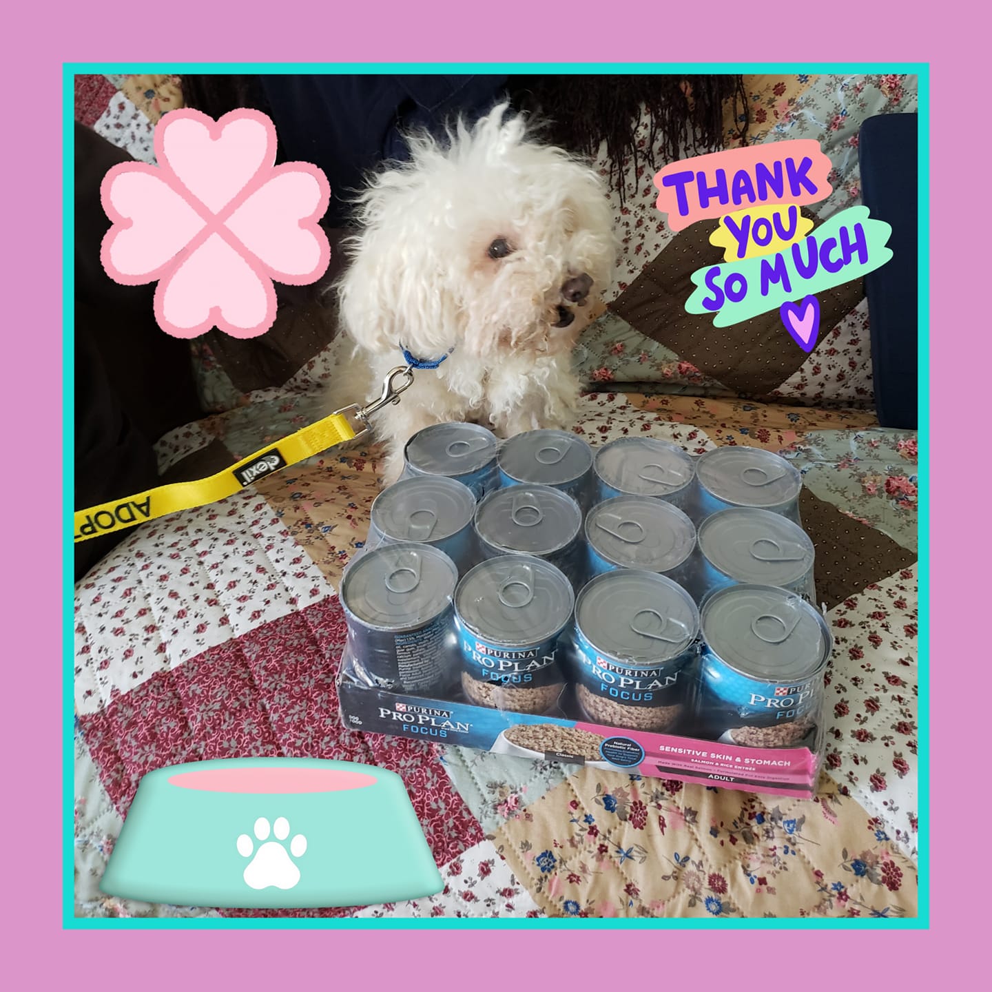 A special thank you goes out to... - Rescue Haven Foundation | Facebook