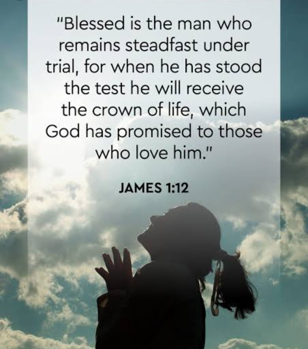 BIBLE Verse's for Problems