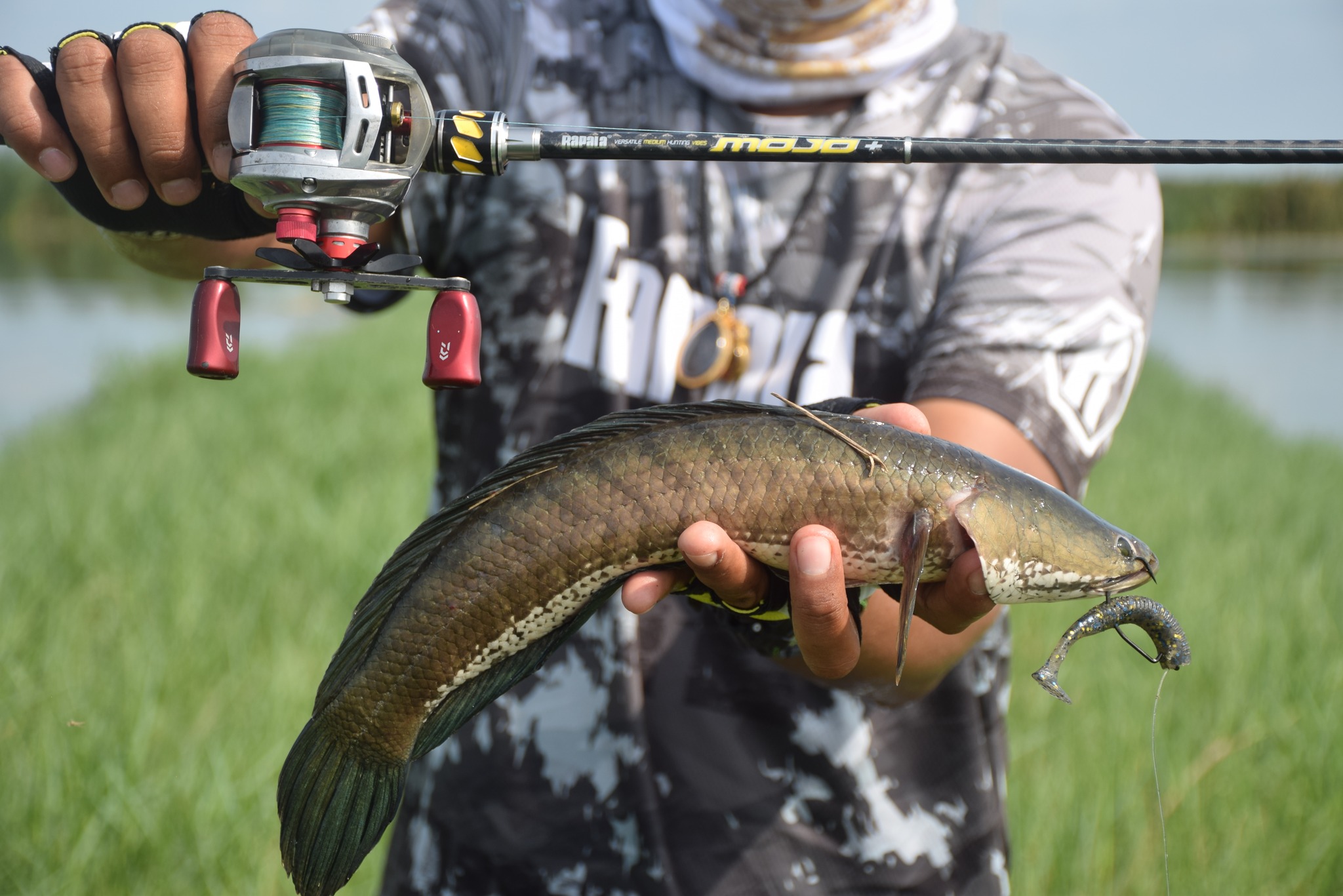 RAPALA Mojo+ คันราพาล่า โมโจพลัส คันงานปลาช่อน ตรงรุ่น 💥💥 . คันเบท ท่อน ...