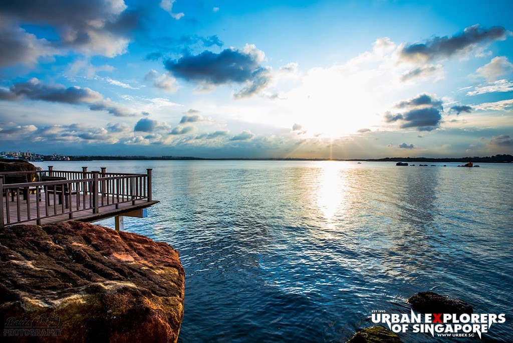 Urban - 𝐈𝐍 𝐒𝐄𝐀𝐑𝐂𝐇 𝐎𝐅 𝐓𝐇𝐄 “𝐂𝐇𝐀𝐍𝐆𝐈 𝐓𝐑𝐄𝐄” Chengal (or Chengai) is a ...
