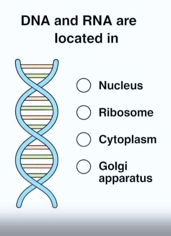 Human Anatomy Group | Facebook