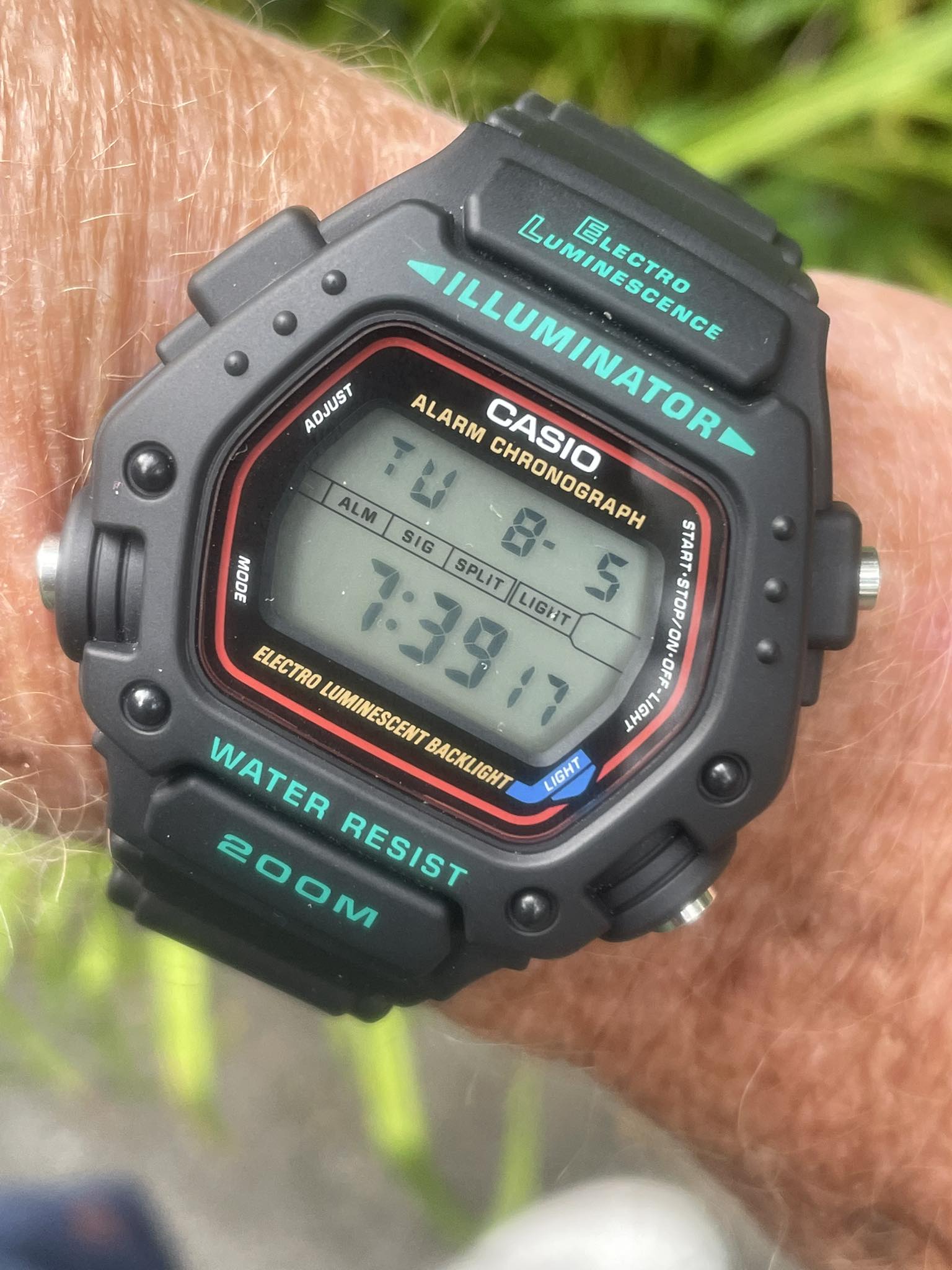 CASIO DW-290