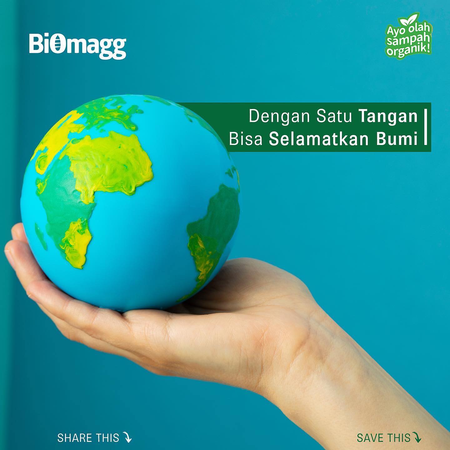 Biomagg - Gimana sih cara mengurangi jejak karbon yang...