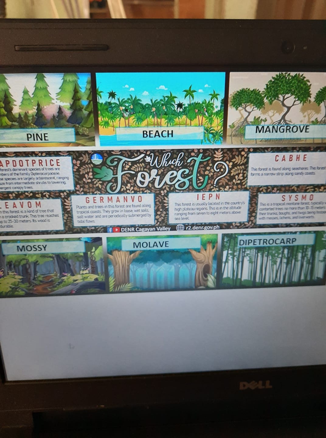 DENR Cagayan Valley - WORKSHEET 13: There are different types of forest ...