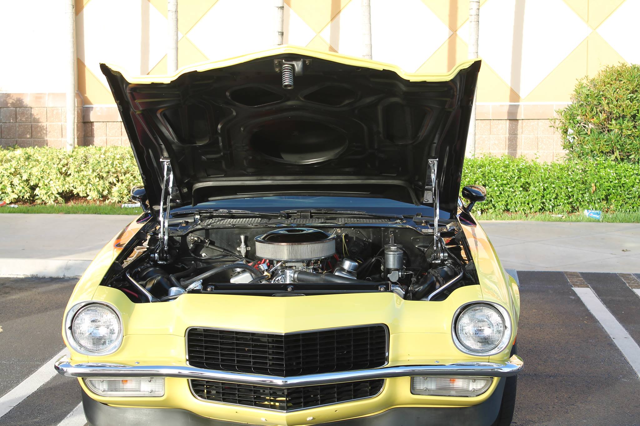 Timeless Wheels Auto Show | Miami FL