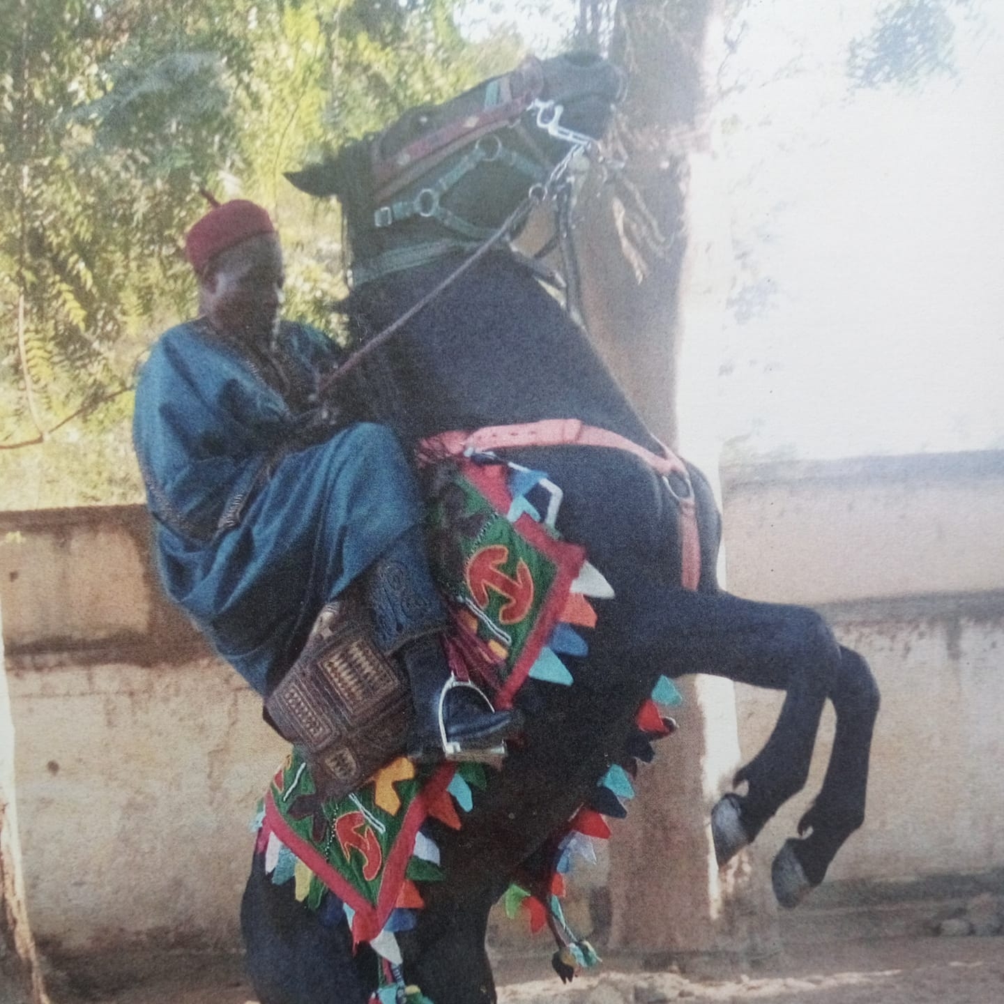 moodibbo-dr-aminou-mokolo