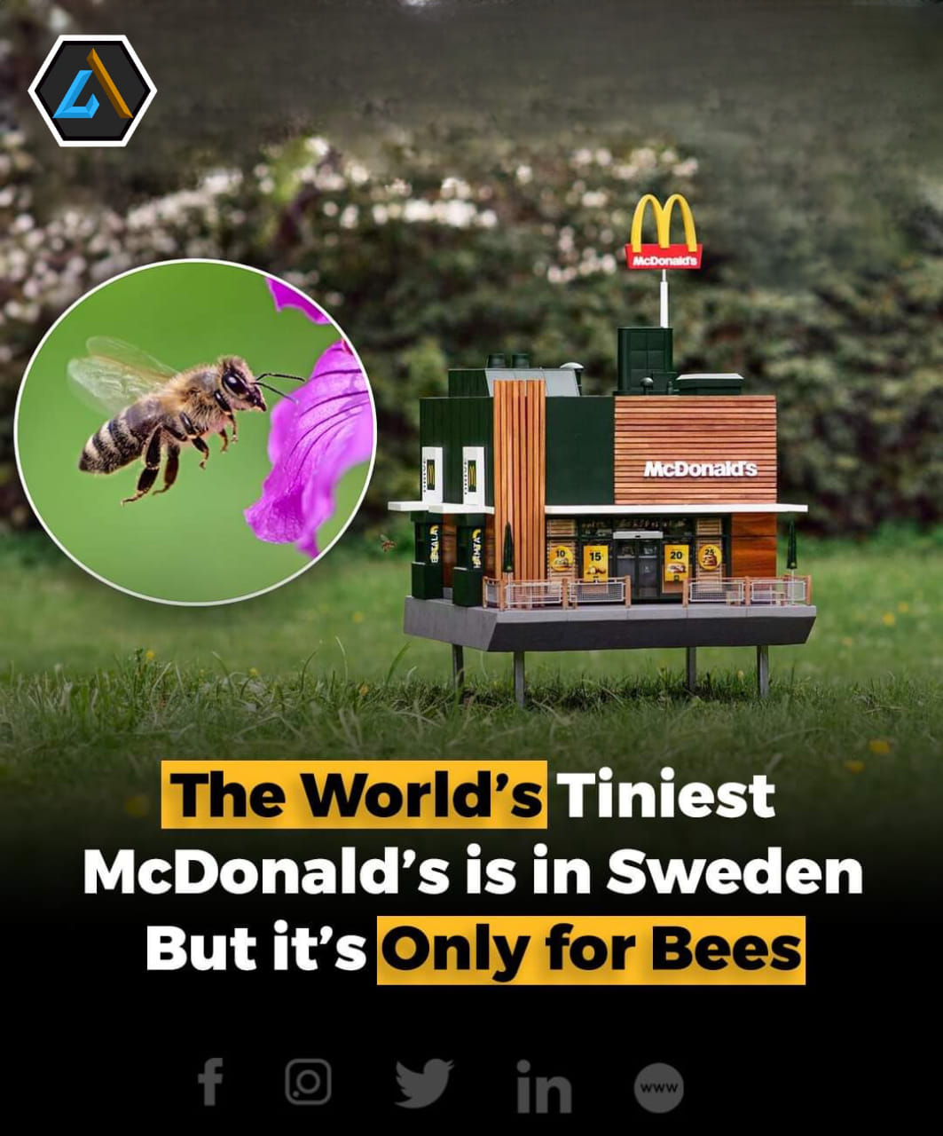 McDonald's has introduced a tiny restaurant designed specifically