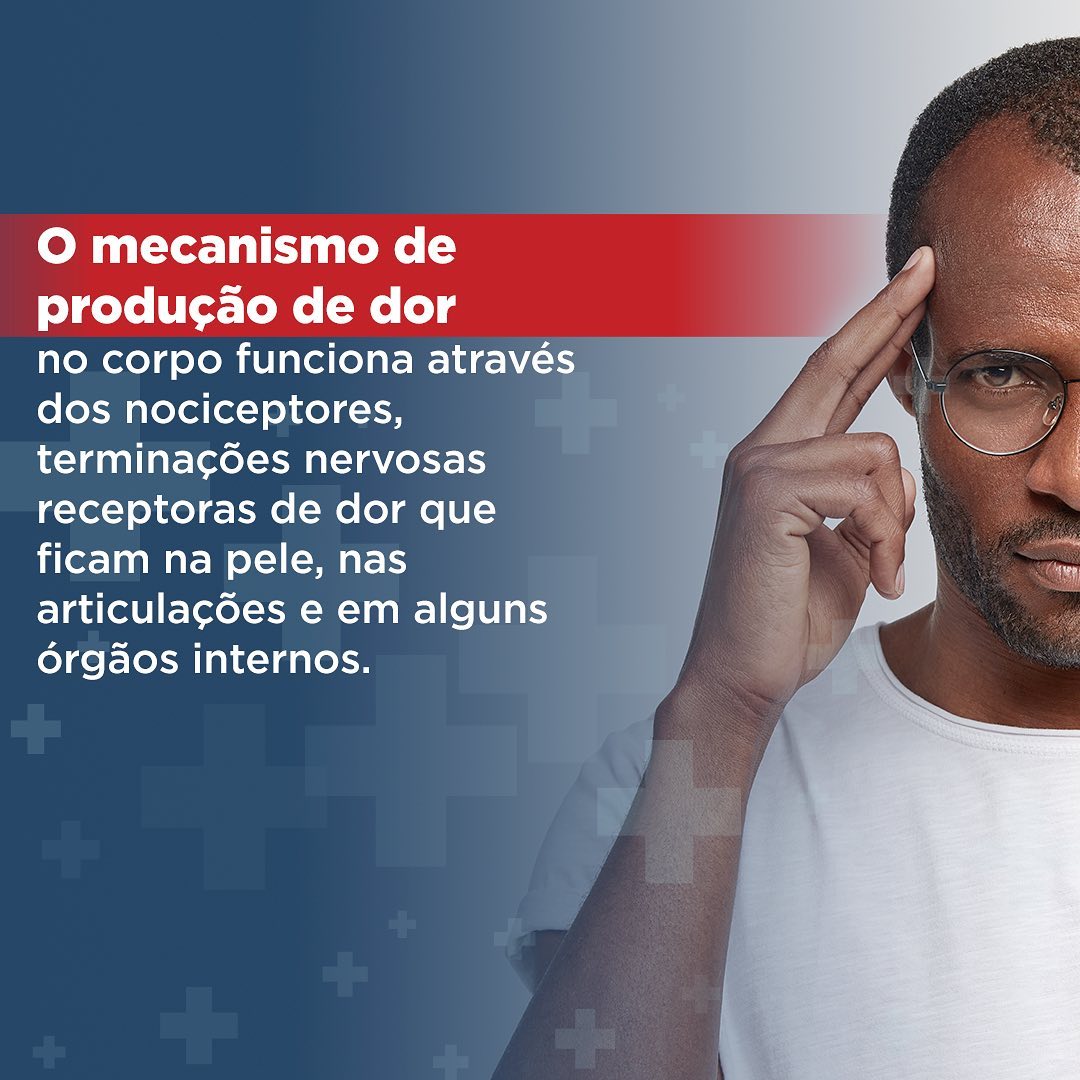🧠 O cérebro é o órgão que recebe os... - Insonate Medicina