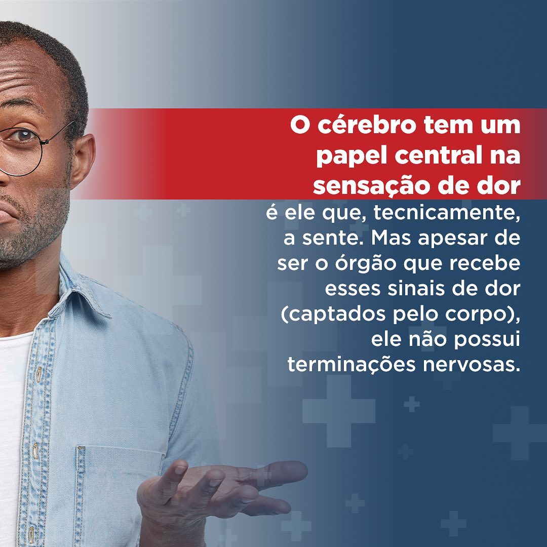 🧠 O cérebro é o órgão que recebe os... - Insonate Medicina