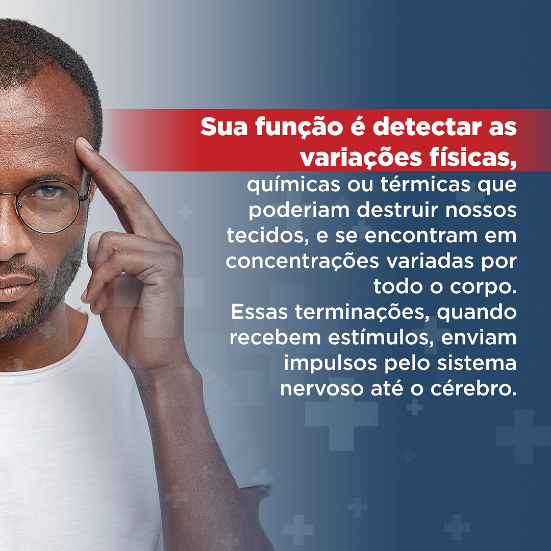🧠 O cérebro é o órgão que recebe os... - Insonate Medicina