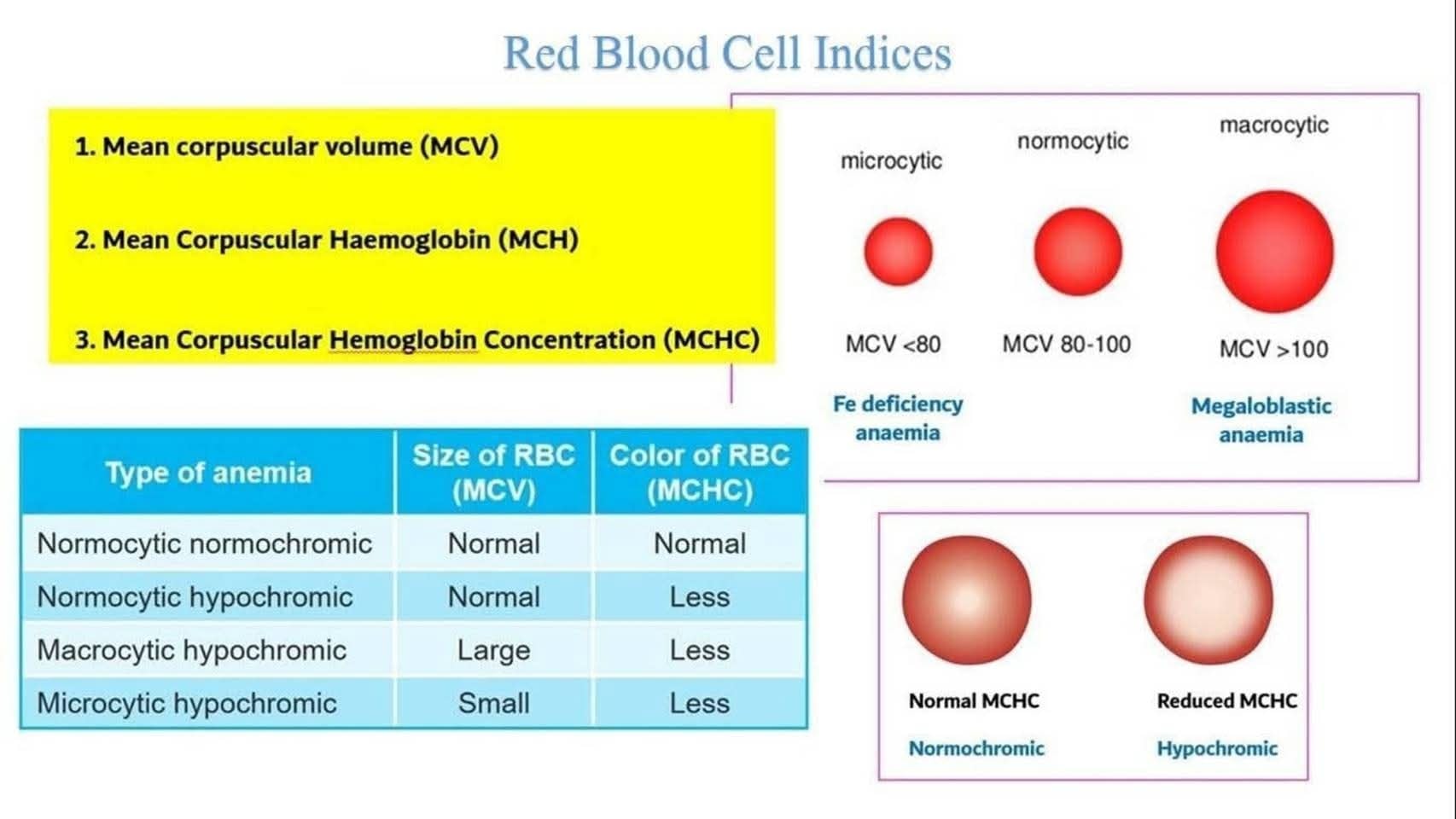 Human anatomy and physiology | Which laboratory result confirms iron ...