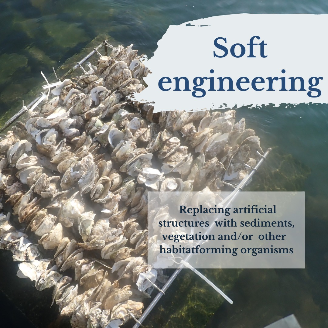 Ecoshoreline - #ecoengineering101 There are two approaches for eco ...