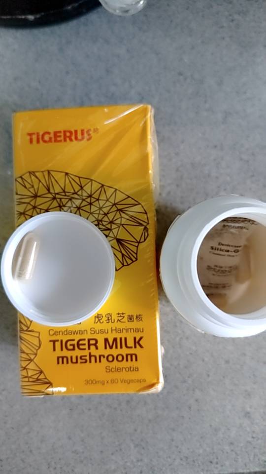 Ubat Asma - Tigerus LiGNO TM02 Tiger Milk Mushroom Sclerotia 300mg ...