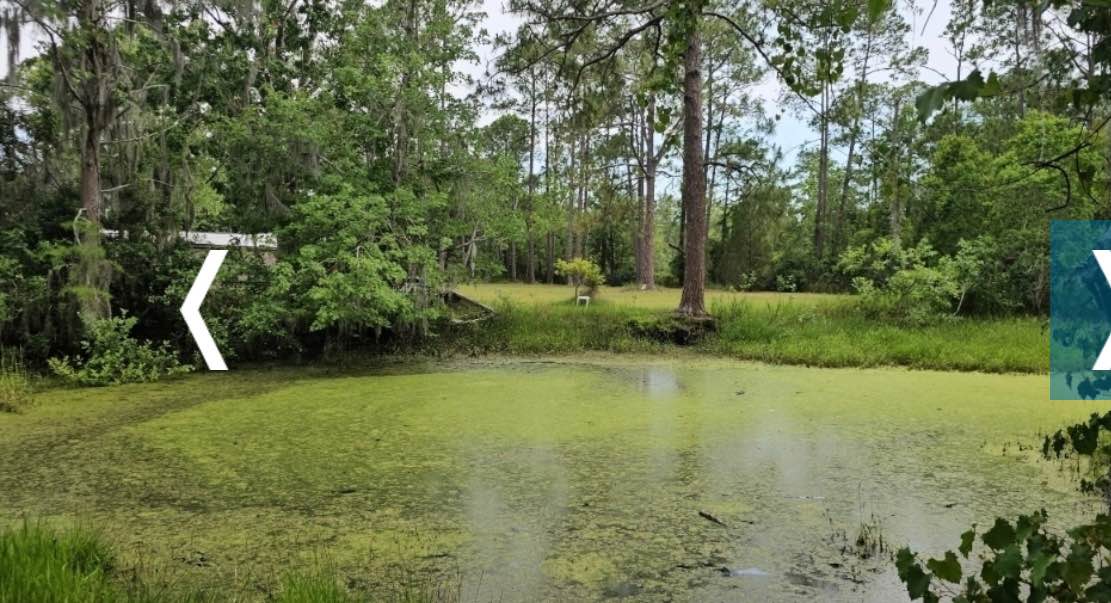 3 Beds 2 Baths House Property For Sale Samsula, Florida