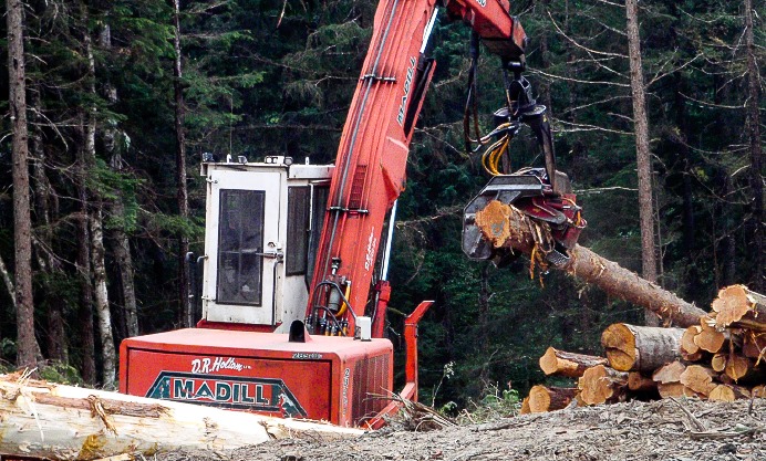 Logging and Sawmilling Journal - The BC Forest Safety Council is a ...