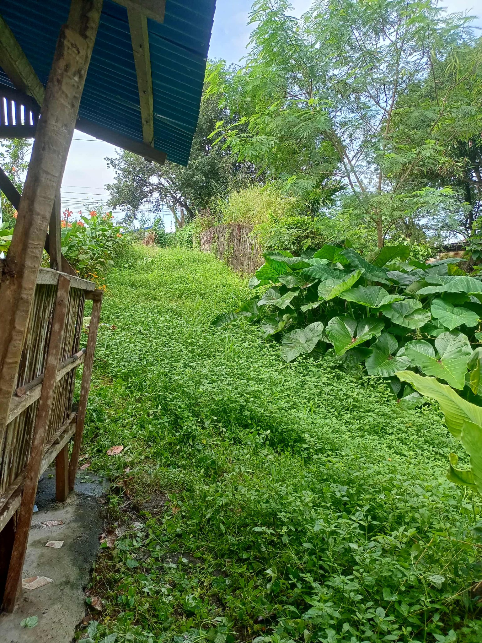Farm lot,lot only, and House and lot at Tanay Rizal | 📣350k | Facebook