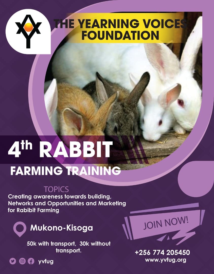 YVF Rabbit Farmers Network- Uganda | Kampala
