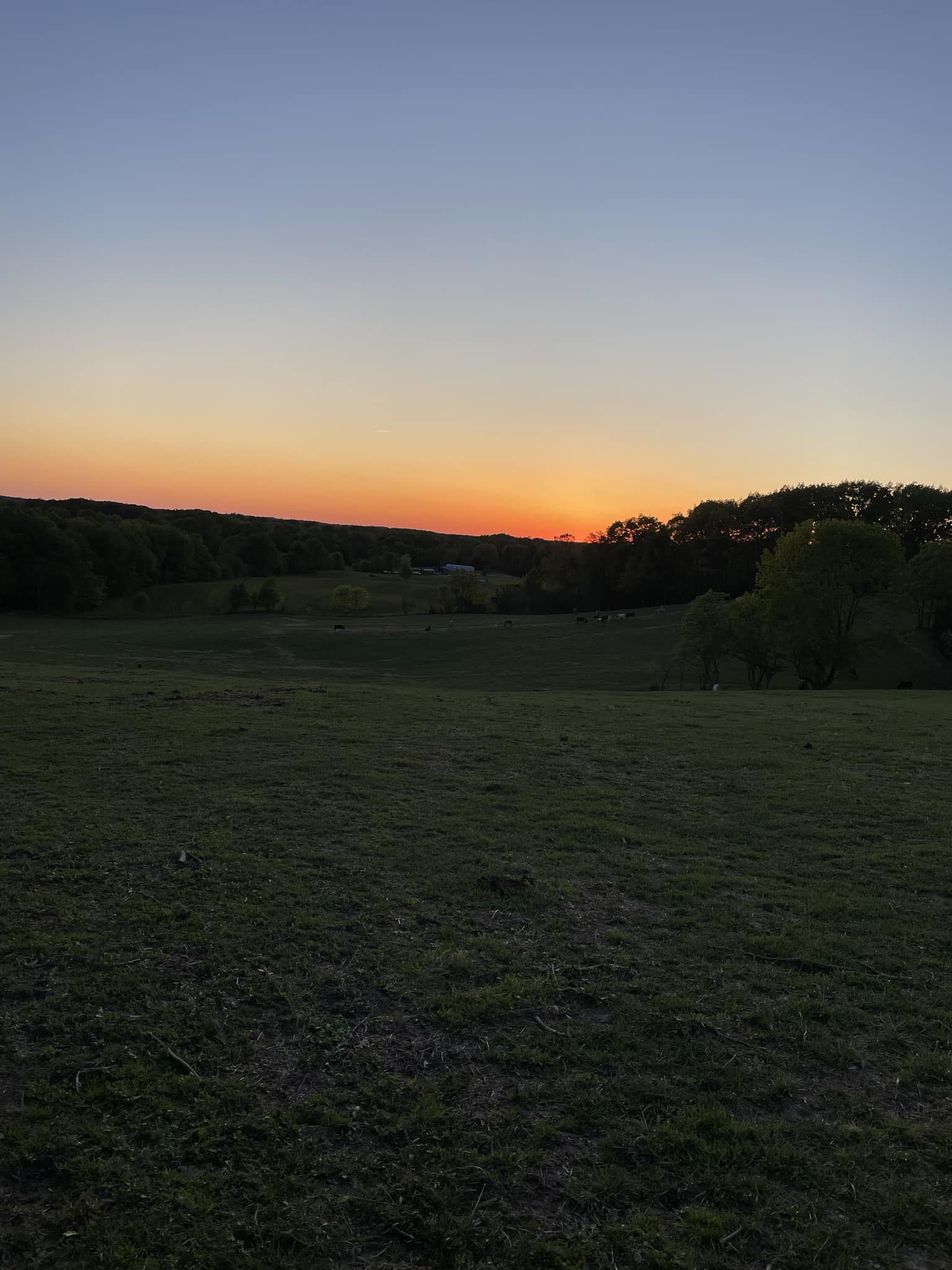Spring Valley Farms