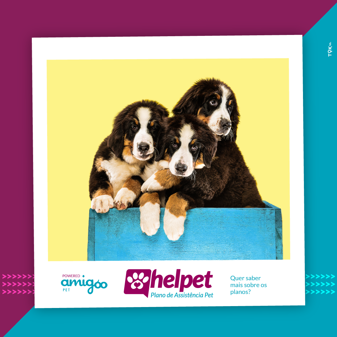 Helpet -Plano de Assitência PET - Você não precisa abrir mão da sua ...