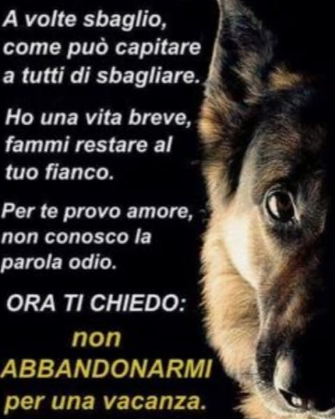@SEIZAMPE Un tale che a 40 anni ha... - SEI ZAMPE - il Blog | Facebook