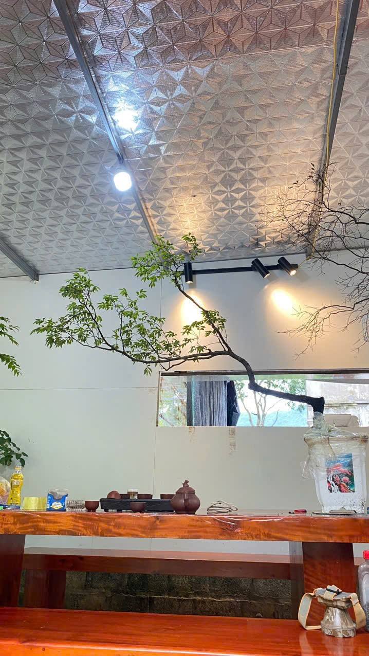 Bùi Trọng Đại