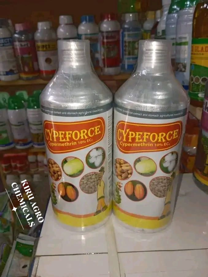 Sani Ahmad 󱢏 - CYPERFORCE (Cypermethrin) Cyperforce is a... | Facebook