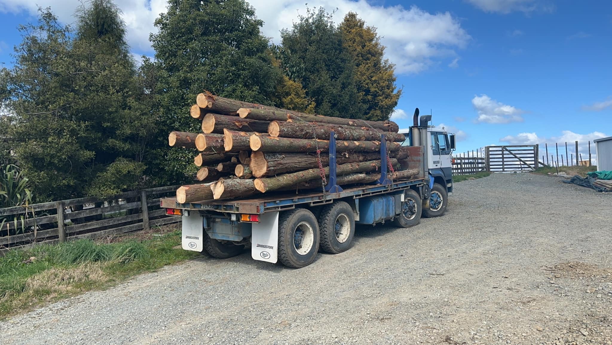 Simpson Tree Works | Piopio